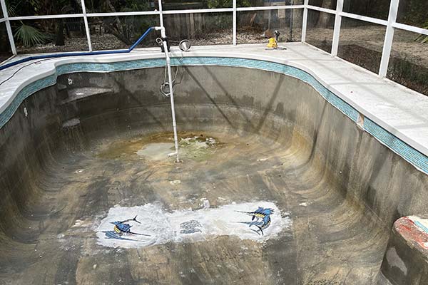 Pool Repair Services